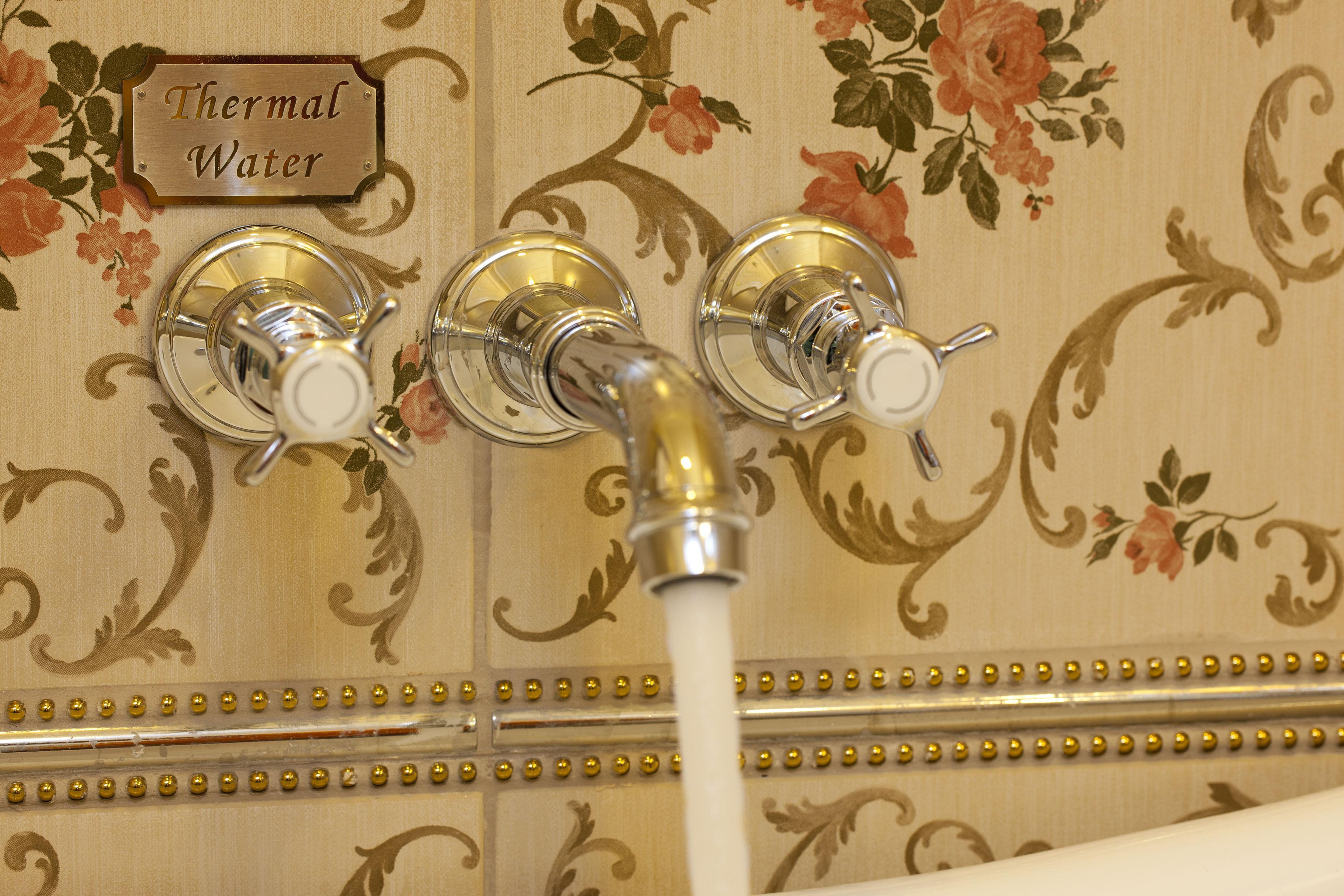 Limak Yalova Thermal Boutique Hotel Гёкчедере Экстерьер фото